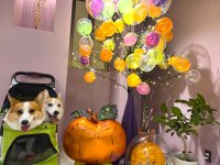 ハロウィンバルーンツリー2