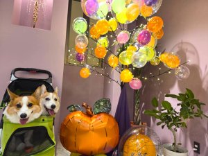 ハロウィンバルーンツリー2