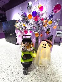 ハロウィンバルーンツリー